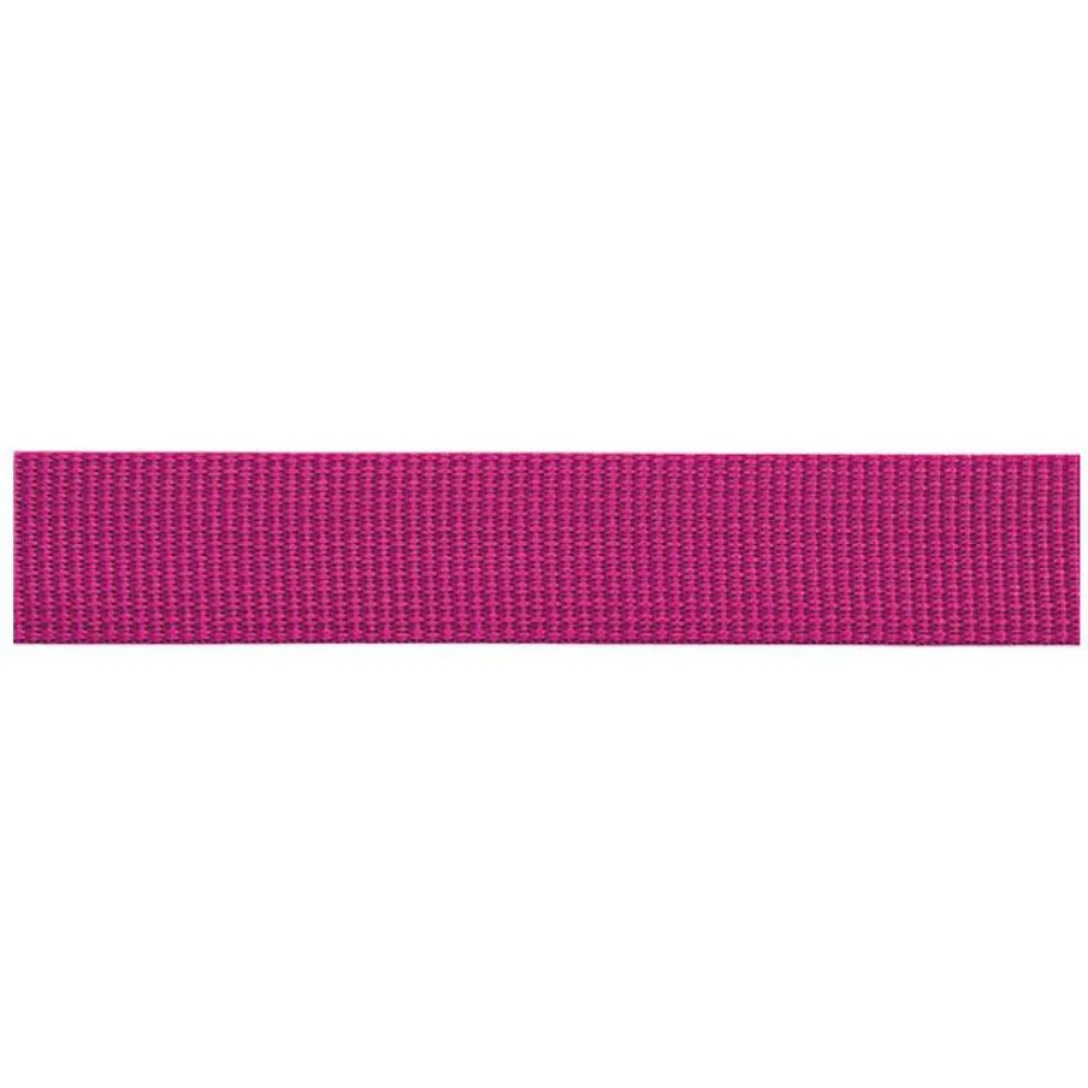 Beal Flat 26 Mm Sling Paars
