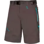 Grijs