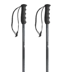 Nordica Alpine Ti Stokken Grijs