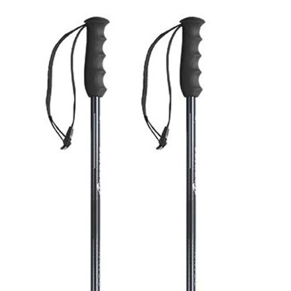 Nordica Alpine Ti Stokken Grijs
