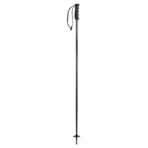 Nordica Alpine Ti Vrouw Polen Grijs