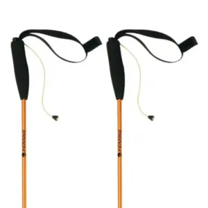 Ferrino Eiger Stokken Oranje
