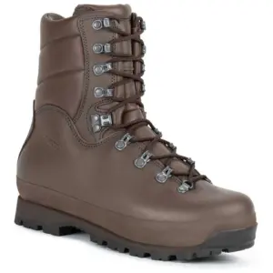 Aku Griffon Combat Gore-tex® Wandelschoenen Bruin