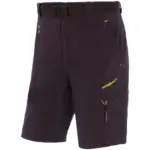 Zwart
