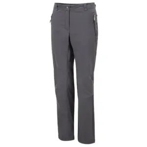 Dare2b Melodic Ii Regular Broek Grijs