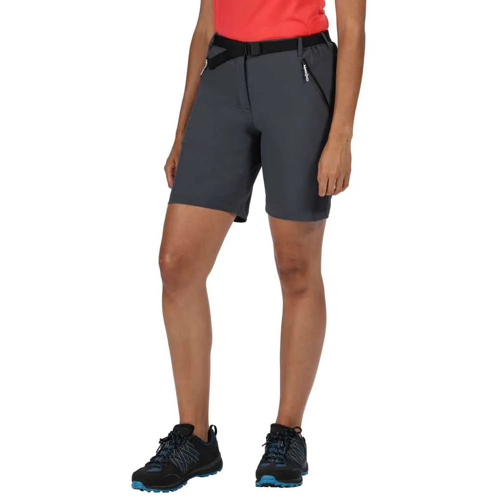 Regatta Xert Stretch Iii Korte Broek Grijs