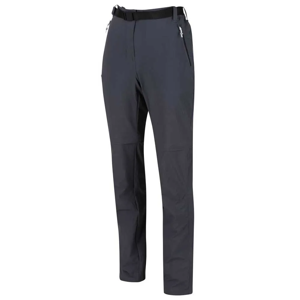 Regatta Xert Stretch Iii Broek Grijs