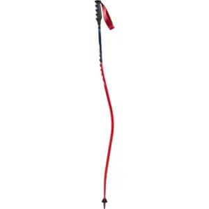 Swix World Cup Pro Dh Carbon Stokken Blauw