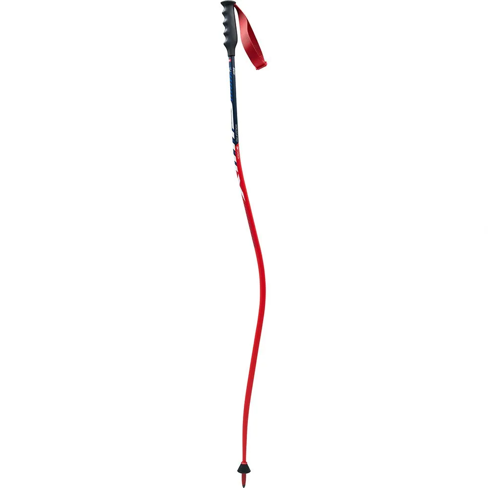 Swix World Cup Pro Dh Carbon Stokken Blauw