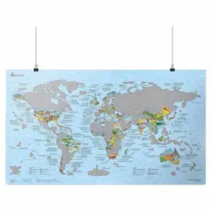 Awesome Maps Scratch And Discover Kaart Multicolor