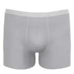 Wit