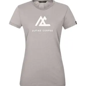 Salewa Frames T-shirt Met Korte Mouwen Grijs