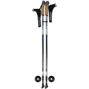Abbey Nordic Walking Cane Stokken Zilver
