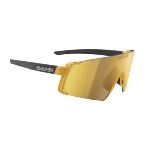 Salice 027 Rw Zonnebril Goud