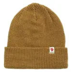 Acorn