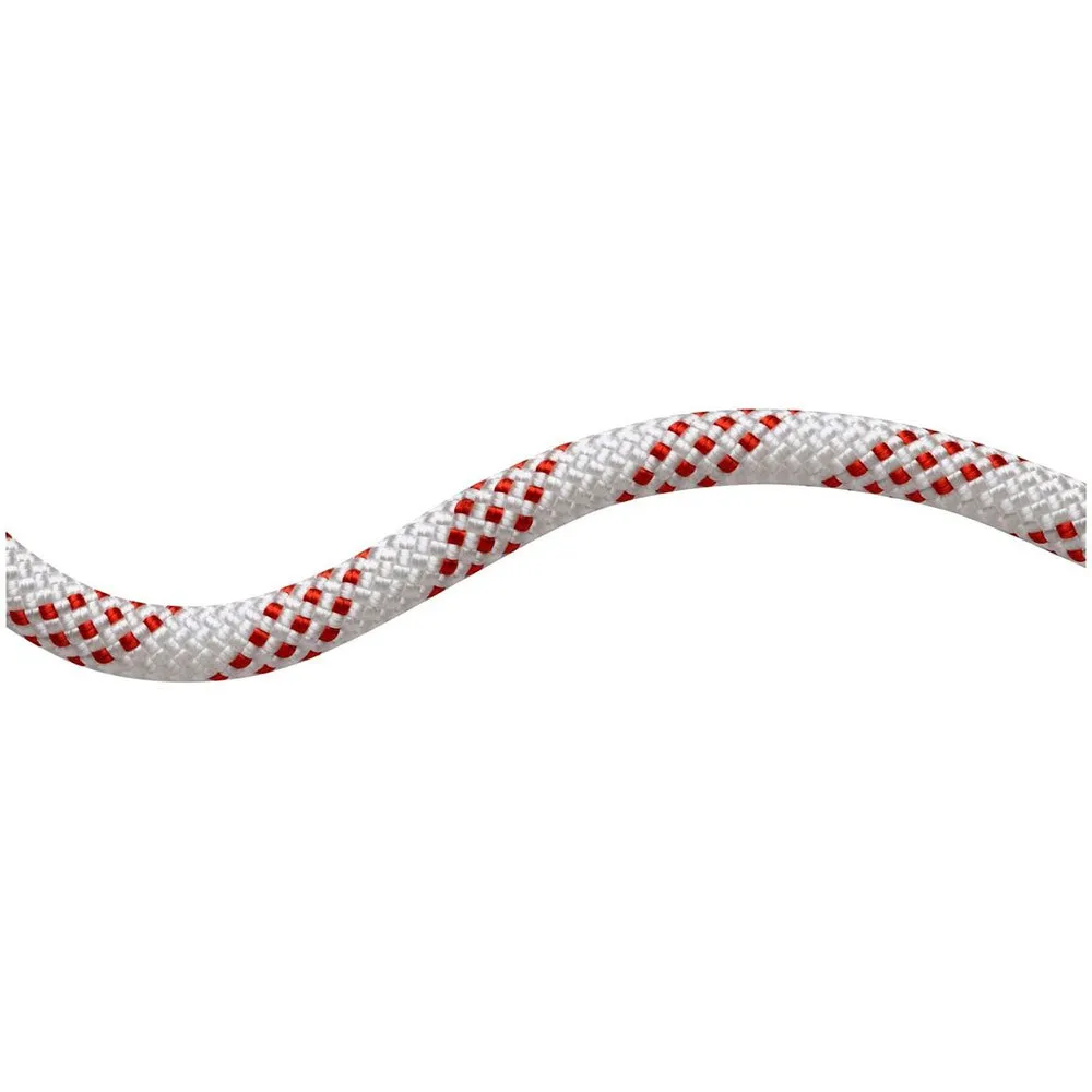 Mammut 11.0 Performance Static Touw Rood