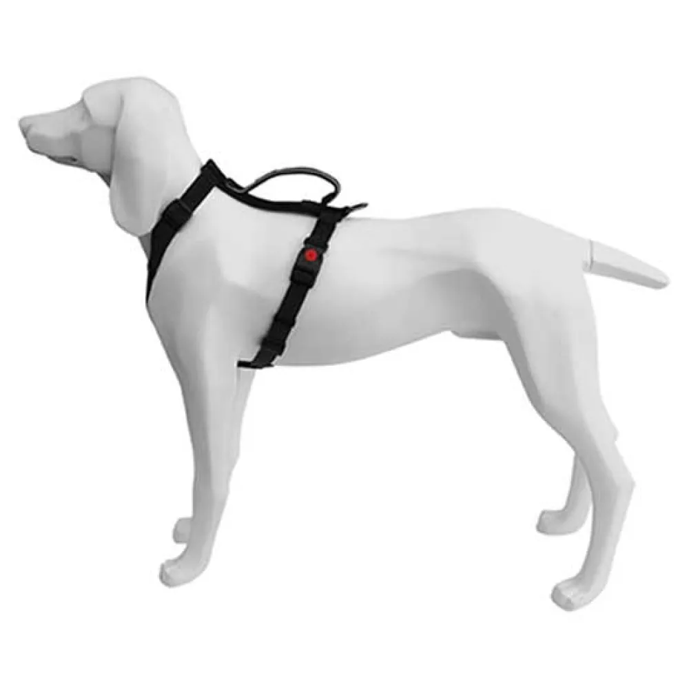 Freedog Extreme Hondenharnas Zwart