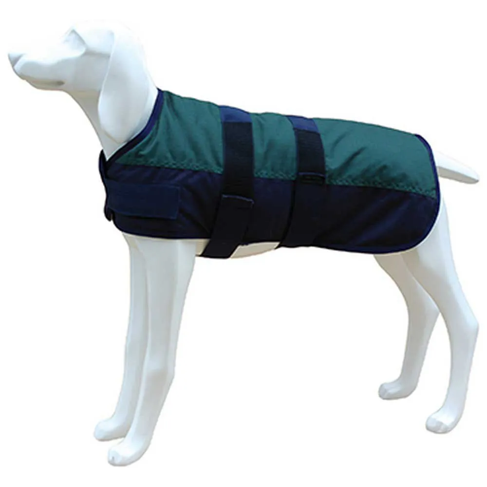 Freedog North Pole Model B Hondenjas Groen