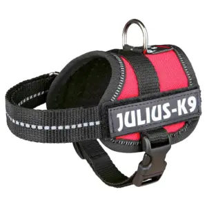 Julius K-9 Power Baby Hondenharnas Rood