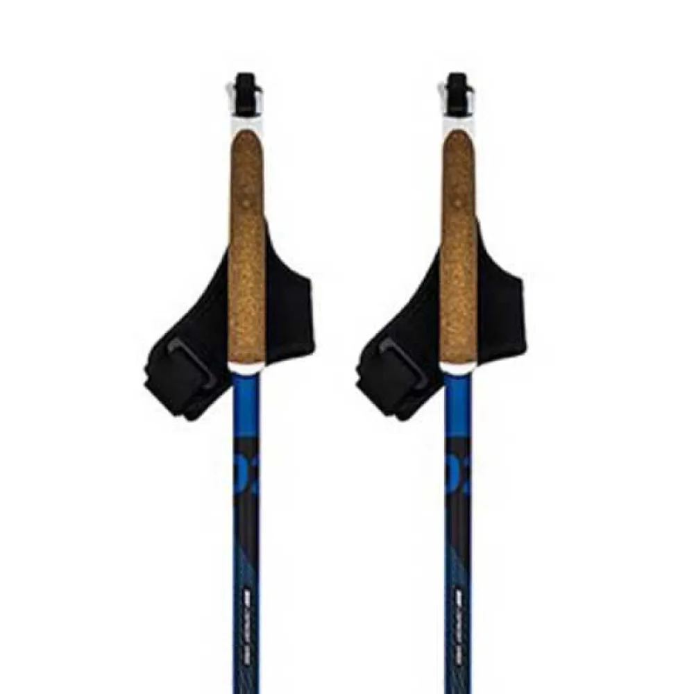 Swix Dynamic D2 Stokken Zwart
