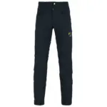 Indigo Bunting
