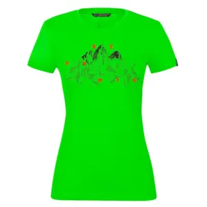 Salewa Geometric Dry T-shirt Met Korte Mouwen Pale Frog Melange