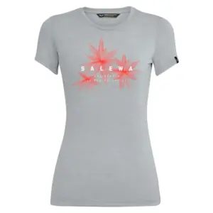 Salewa Lines Graphic T-shirt Met Korte Mouwen Grijs