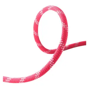 Edelrid Performance Static 11.0 Mm Touw Roze