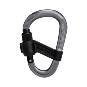 Mammut Smart Hms 2.0 Karabijnhaak Grijs