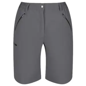 Regatta Xert Stretch Light Korte Broek Grijs