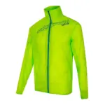 Acid Lime