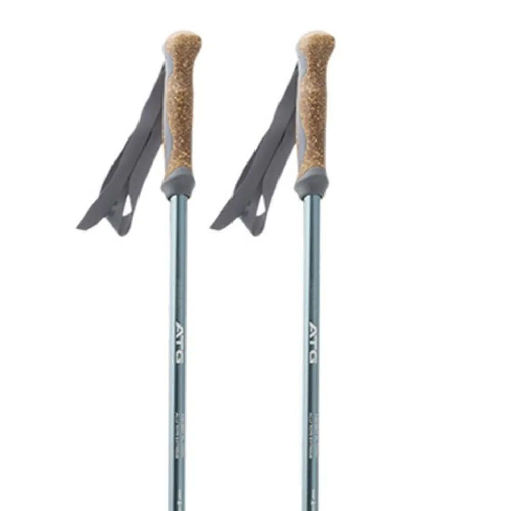 Pinguin Ascent Fl Cork Stokken Blauw