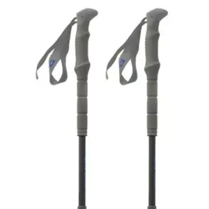 Pinguin Carbon Fl Foam Stokken Blauw