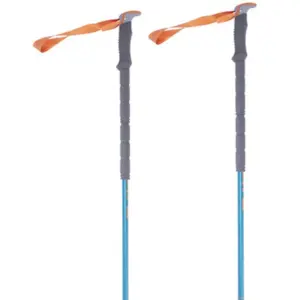 Pinguin Tour Long Fl Foam Stokken Multicolor