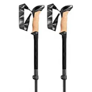Leki Series Fx Carbon Stokken Zwart