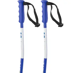Salomon S/race Sg Junior Stokken Blauw