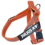 Oranje