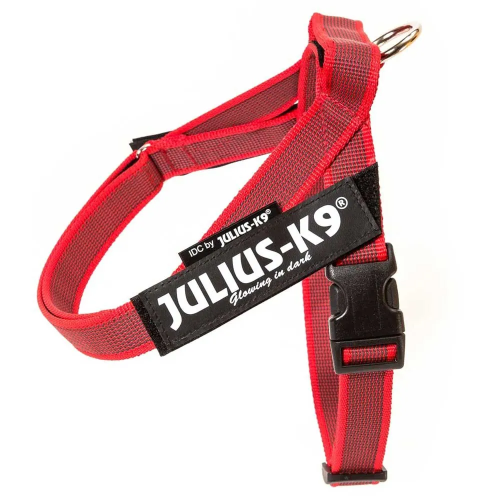 Julius K-9 Idc Norwegian Hondenharnas Rood