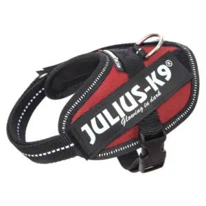 Julius K-9 Idc® Power Baby Hondenharnas Garnet