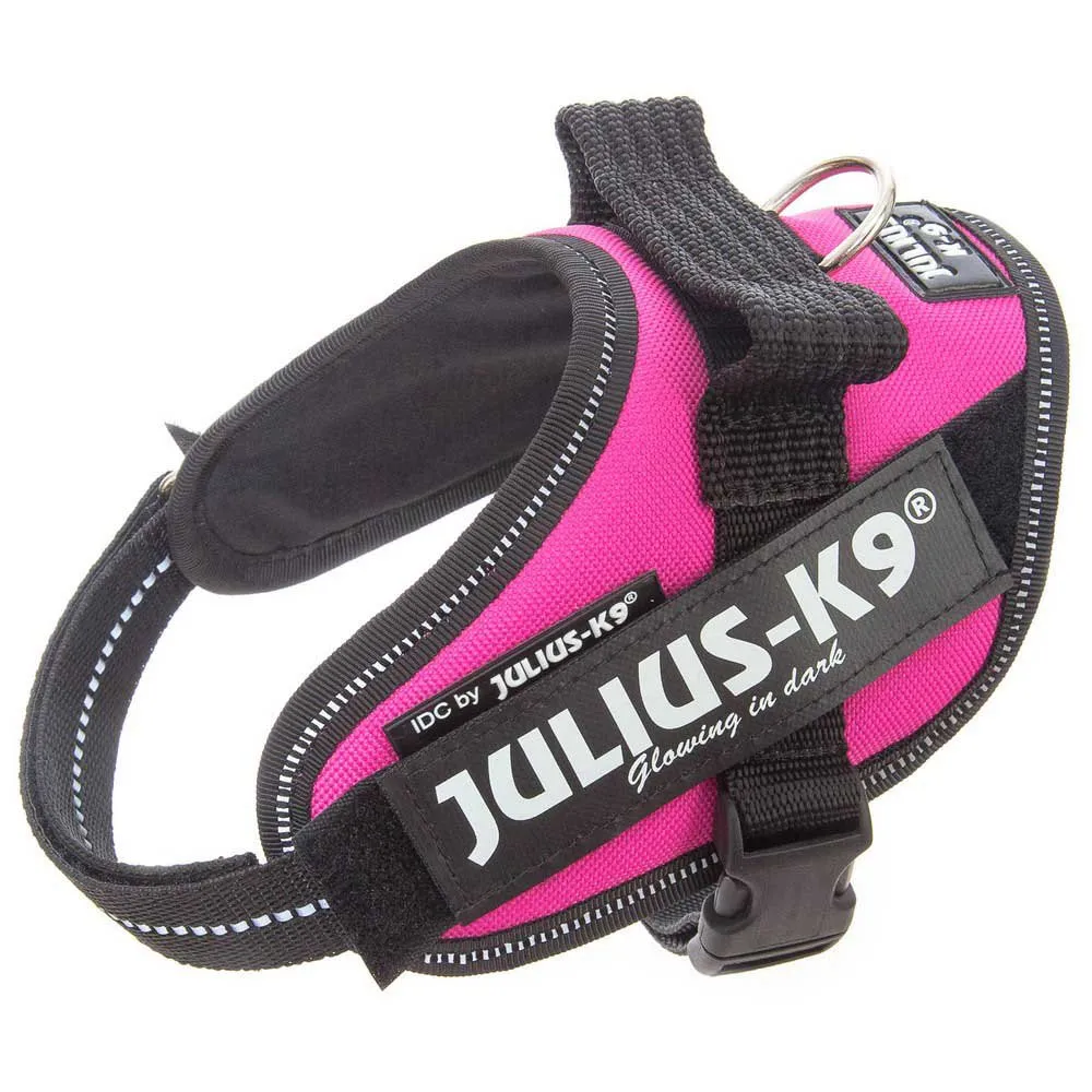 Julius K-9 Idc® Power Mini Hondenharnas Paars