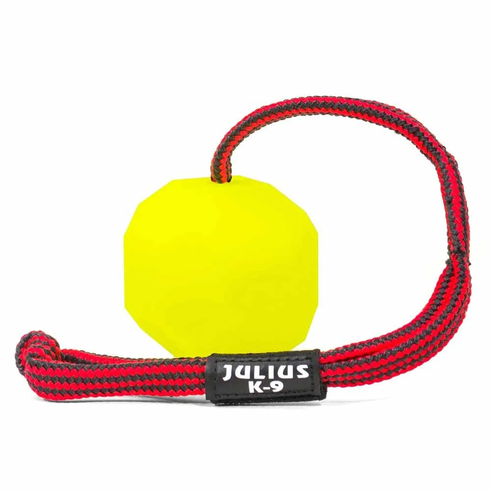 Julius K-9 Bal Met Fluor Touw Neo