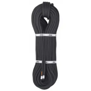 Beal Intervention 10 Mm Touw Zwart