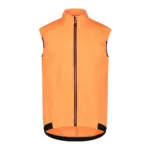 Flamingo Fluo