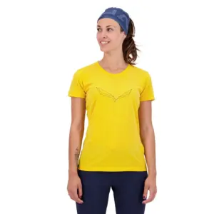Salewa Pure Eagle Frame Dry T-shirt Met Korte Mouwen Goud