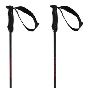 Volkl Rentastick Carbon Stokken Zwart