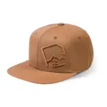 Bruin