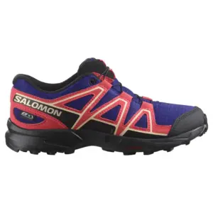 Salomon X Braze Gore-tex® Wandelschoenen Zwart