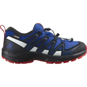 Salomon Xa Pro V8 Cswp Wandelschoenen Zwart