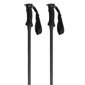 Salewa Puez Aluminum Pro Stokken Zwart