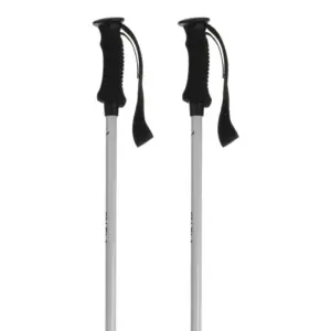 Salewa Puez Aluminum Pro Stokken Blauw